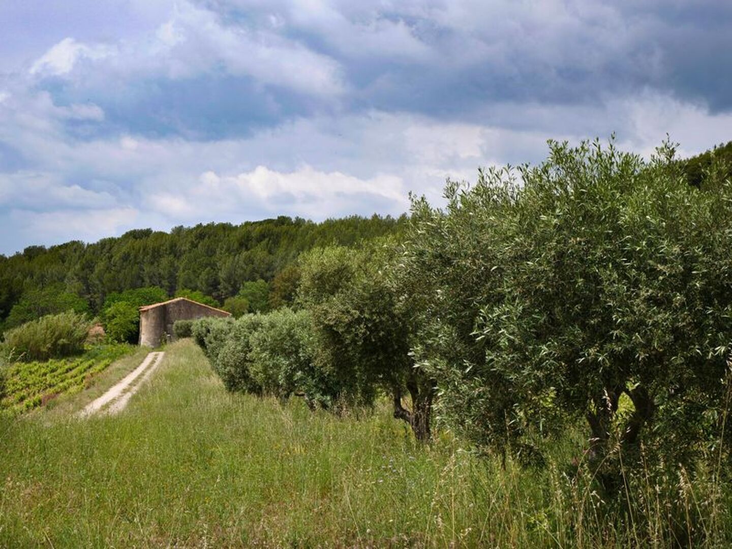 Kommentierter Naturspaziergang im Landgut Nartette