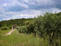 Kommentierter Naturspaziergang im Landgut Nartette