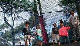 Der Wald der 4 Welten