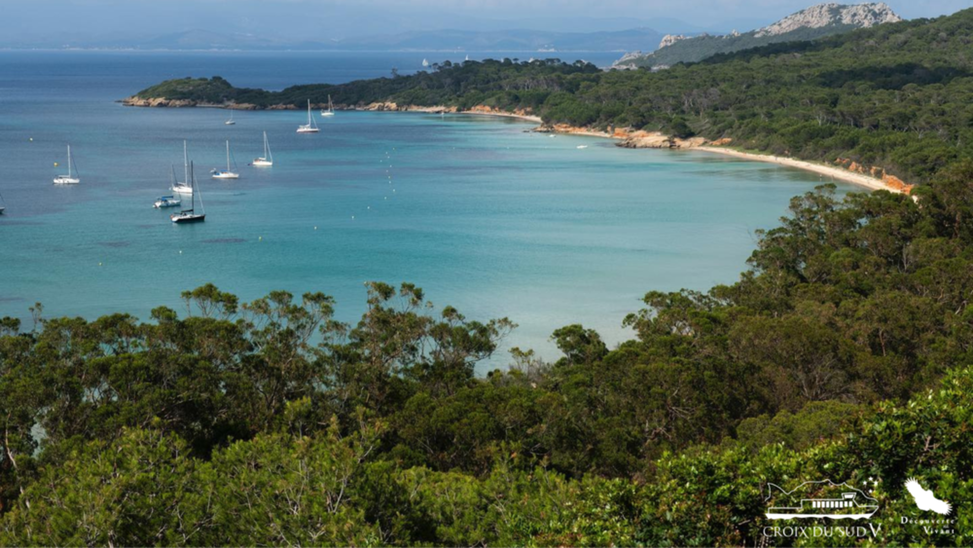 Pendelbus Porquerolles