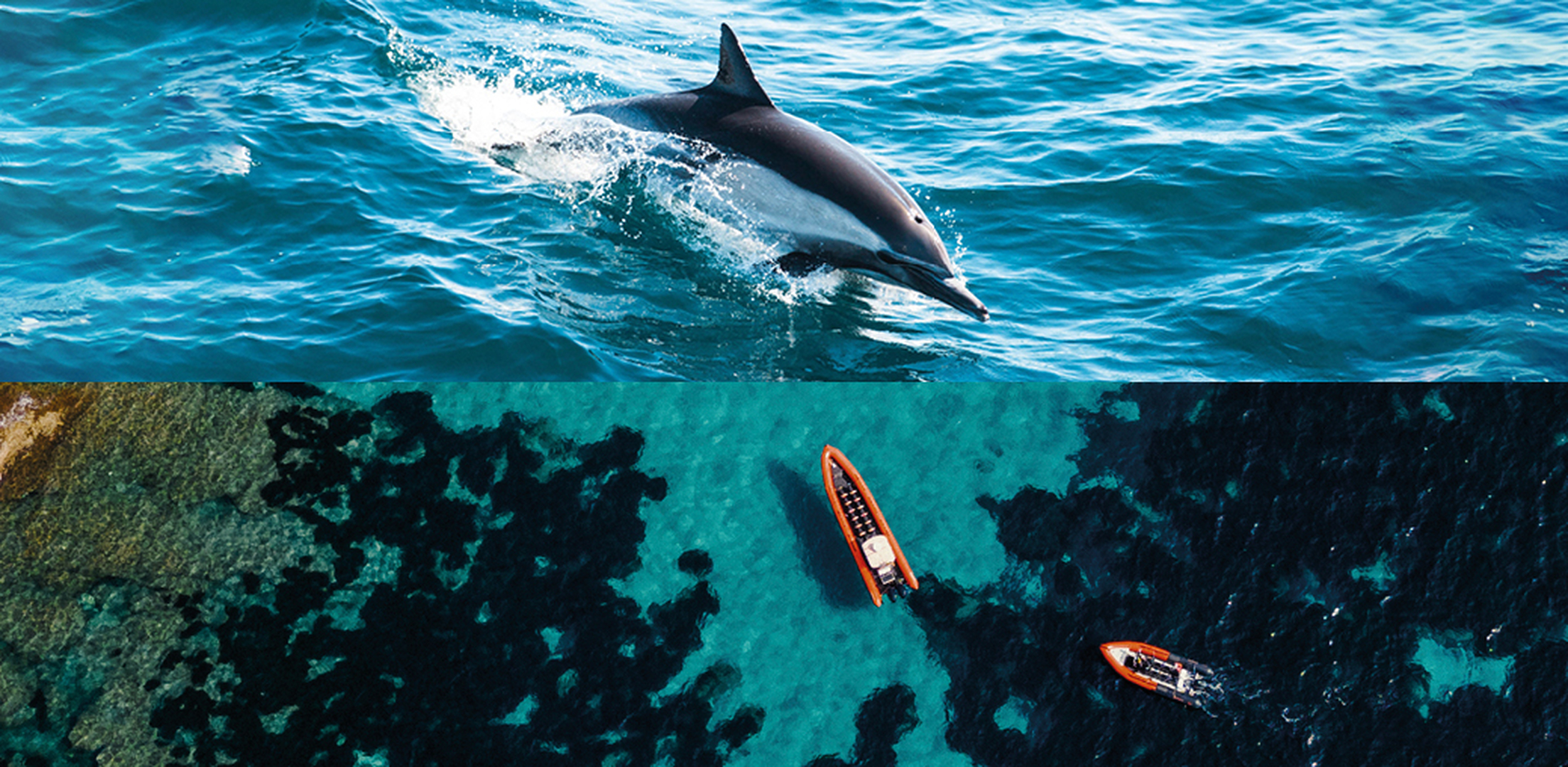 Sea Adventure