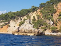 Sea Adventure