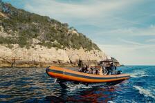 Sea Adventure