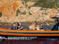 Sea Adventure