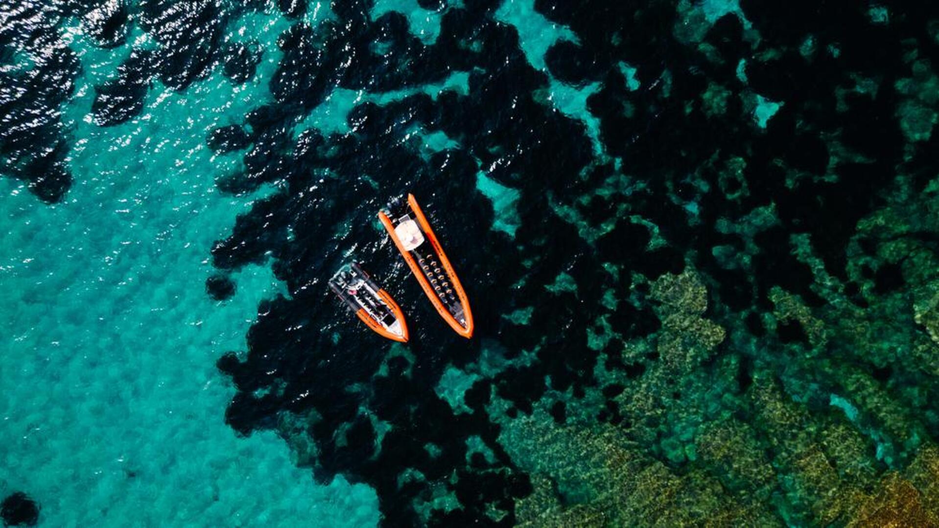 Sea Adventure