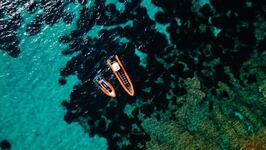 Sea Adventure