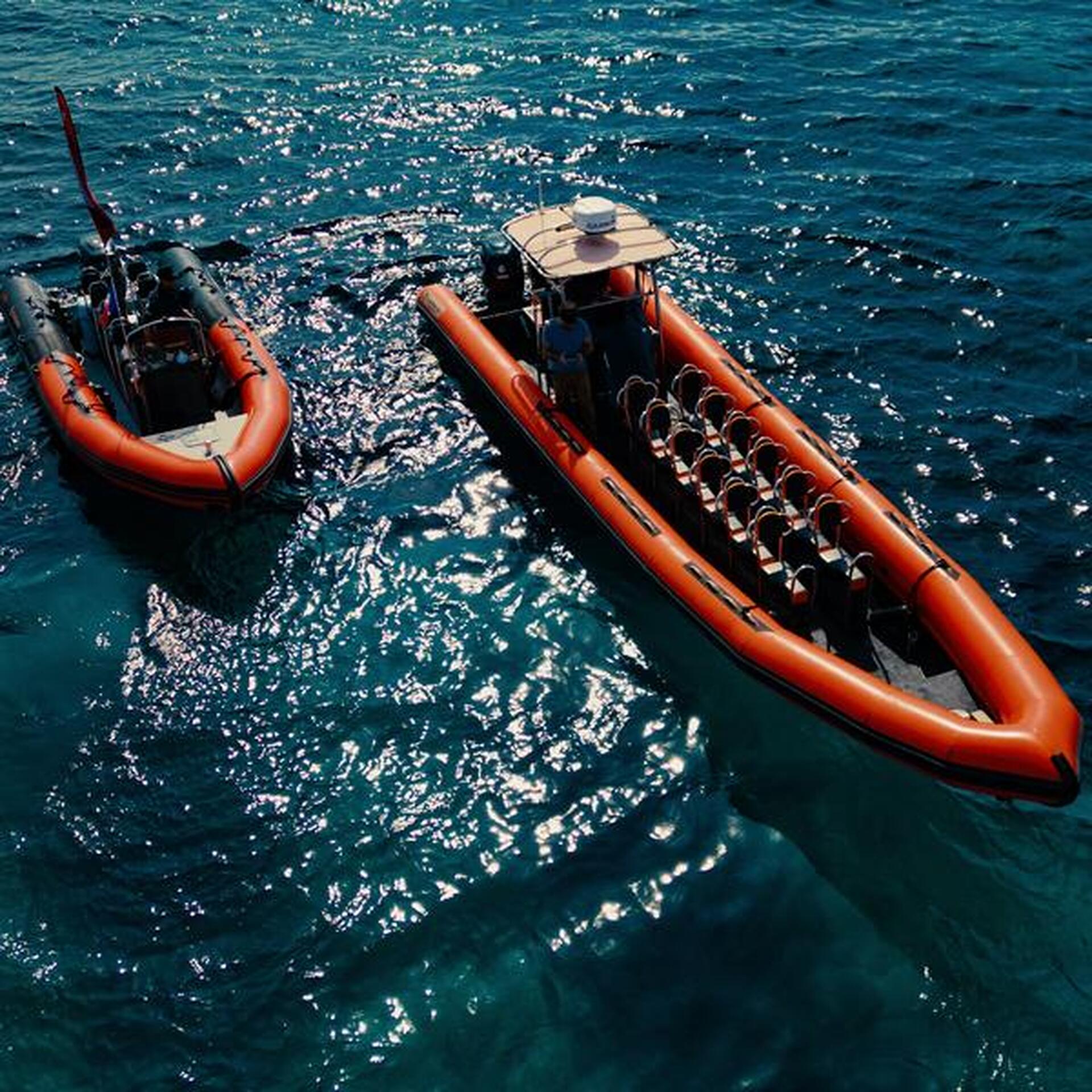Sea Adventure